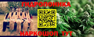 спайс Кудрово