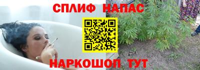спайс Кудрово